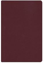 RVR 1960 Biblia Letra Grande Tamano Manual, Borgona Imitacion - Holman
